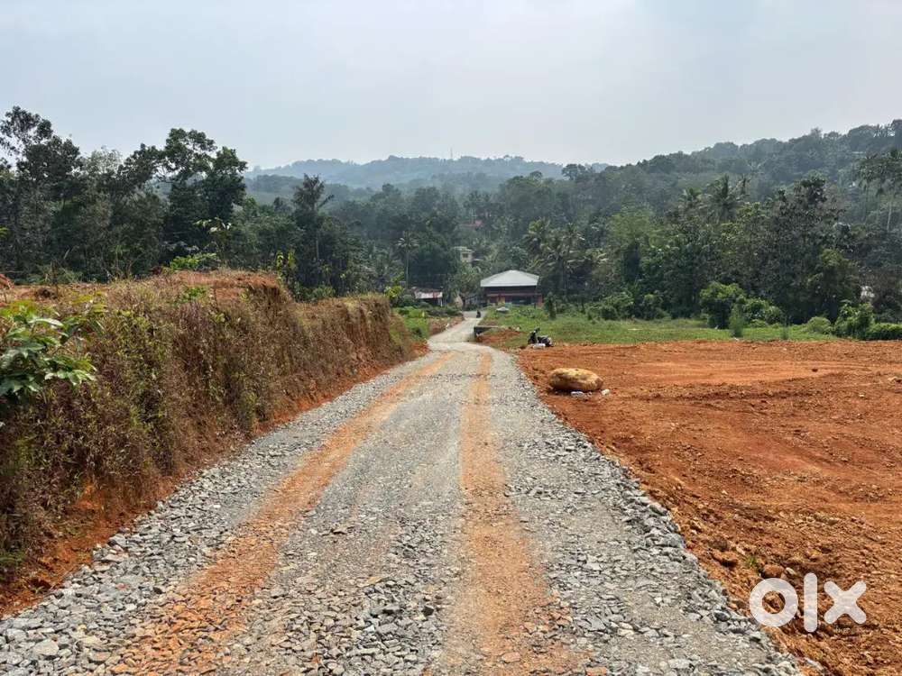 Plot for sale near Manarkad Annadivayal junction KK road 8 cent