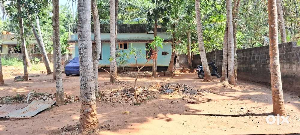 13.5 cent plot for sale near vizhinjam port