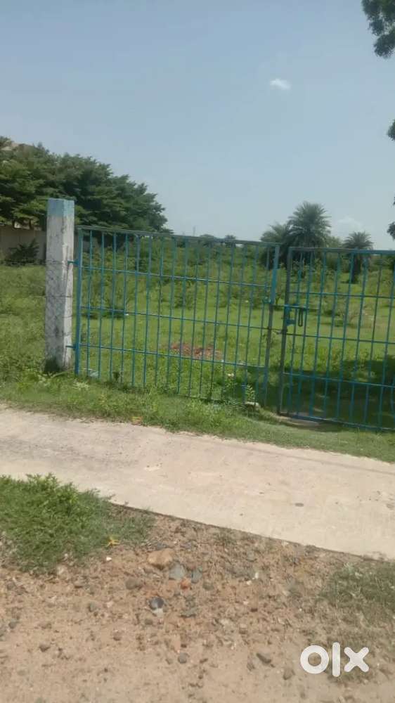 PRIME PLOTS FOR SALE IN SIRUVAPURI