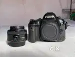 Canon 5D Mark IV + 50mm Lens