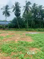Kairali eco village 11 kms from palakkad town