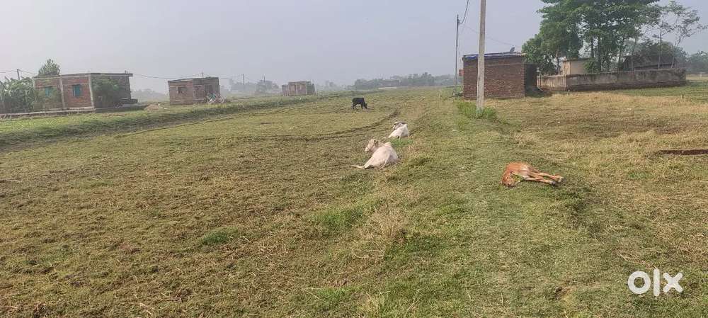 Land for sale Piyali