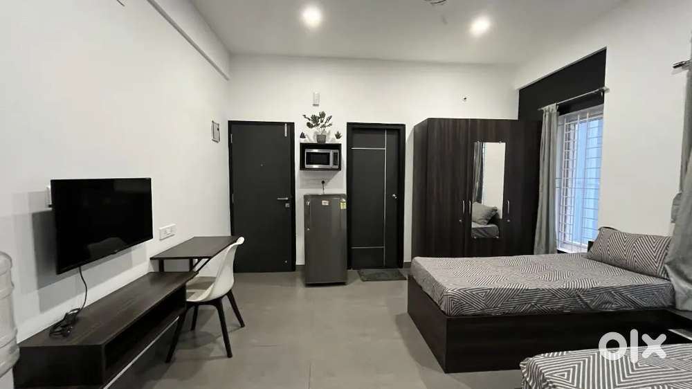 1 RK Furnished Flats for Rent