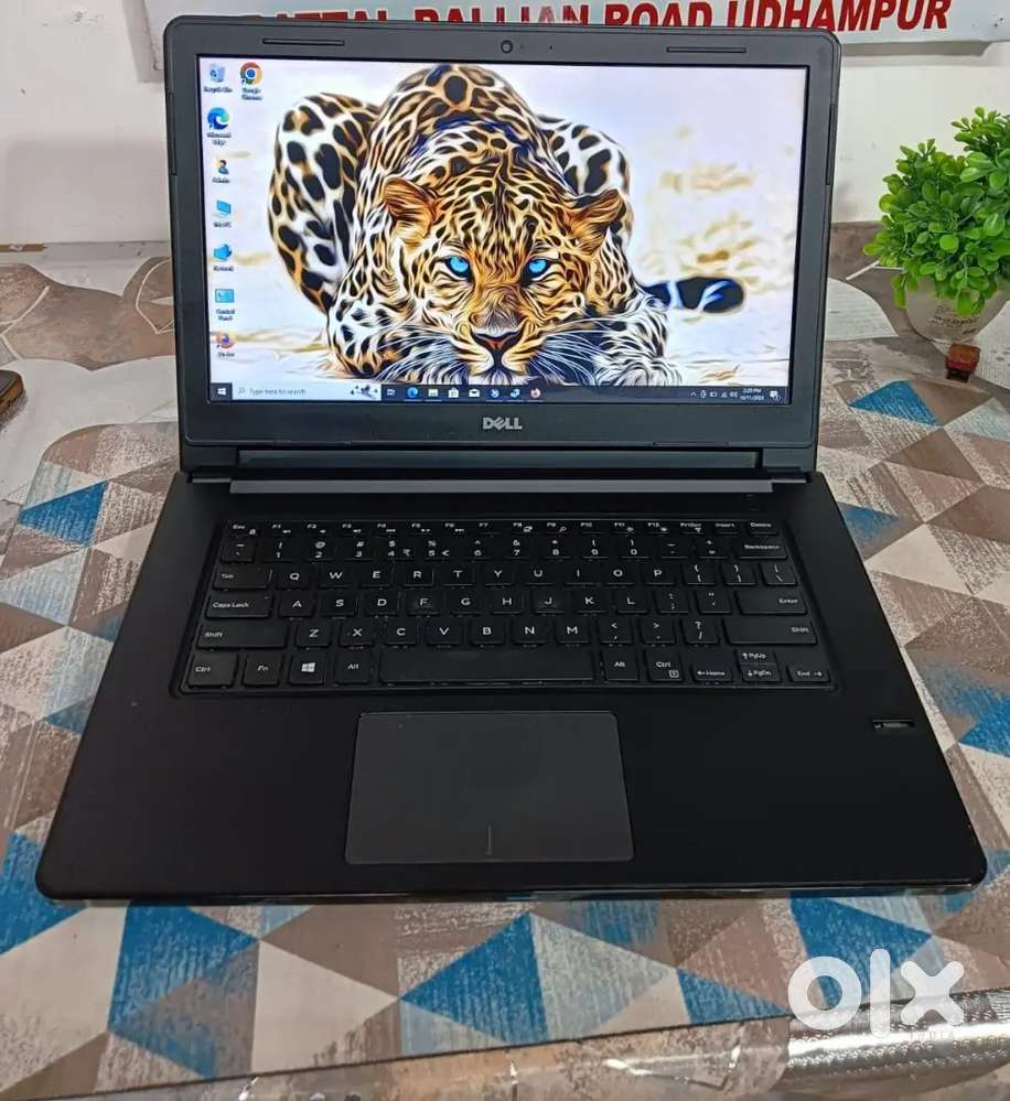 Laptop best price Dell branded