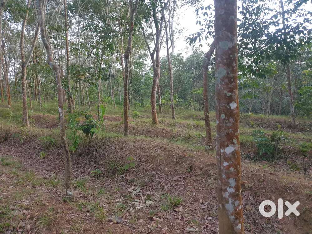 1 Acre land for sale.. Good for farm house, plot division etc