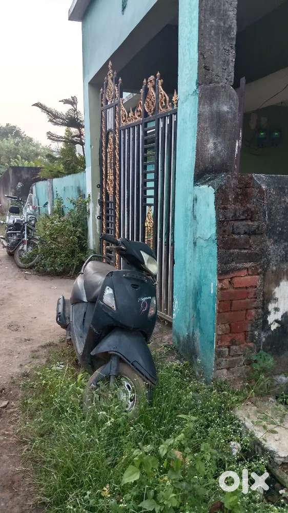 Pleasure scooty 8000