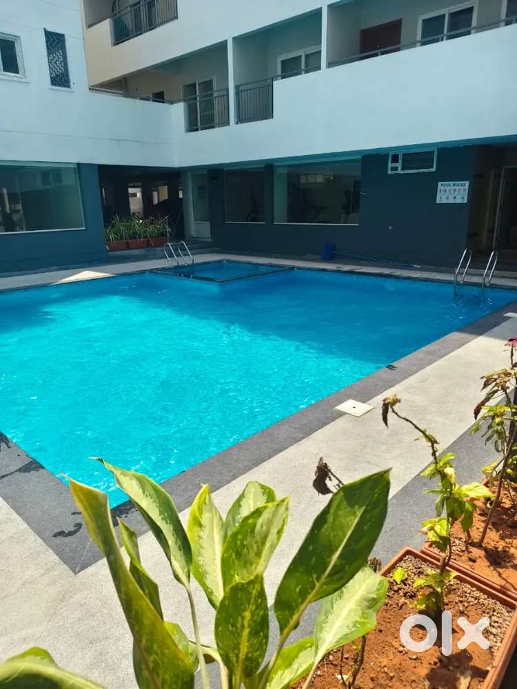 2 bhk property in akshay nagar