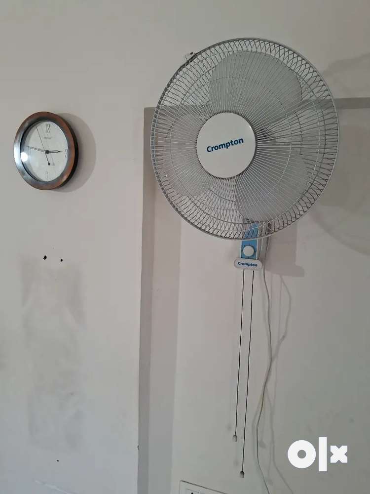 Wall mounted fan