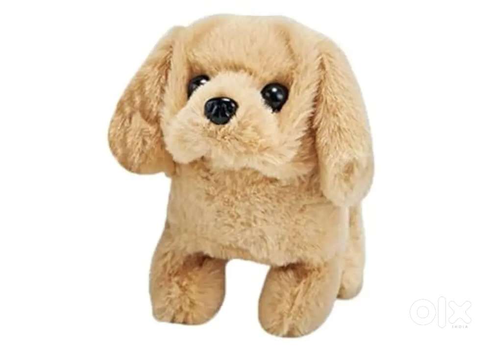 Dog Pet toys