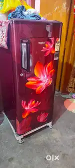 1 sal purana hai