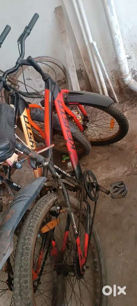 Keysto cycle 24 inch