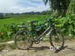 Ninety Nine Cycle