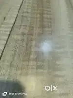 South Indian