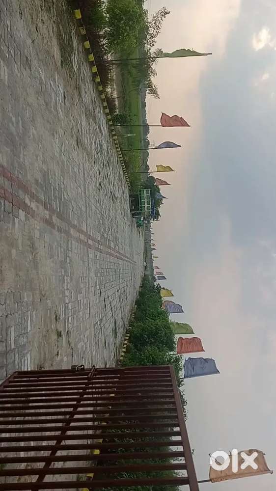 Best project lowest price