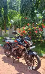 Bajaj Pulsar NS 200 single owner showroom condition