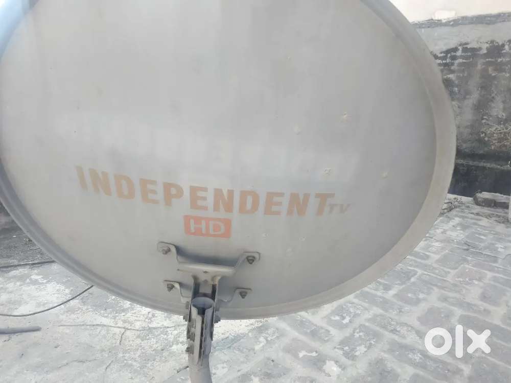 Television Dish