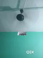 Celling Fan