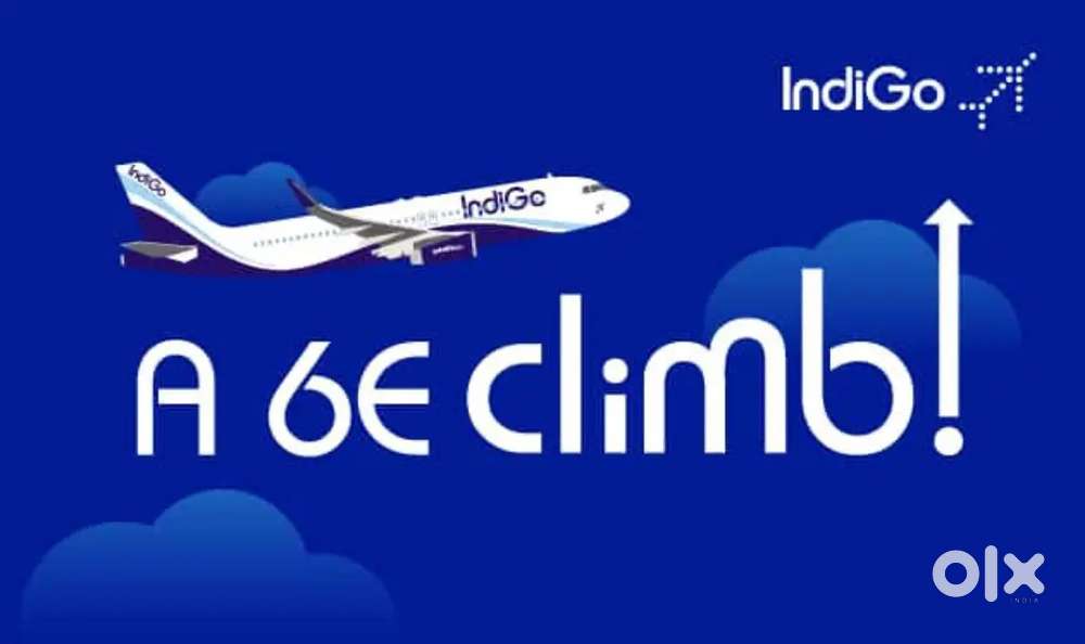 Domestic/International Airport Ground Staff Jobs In Indigo Airlines