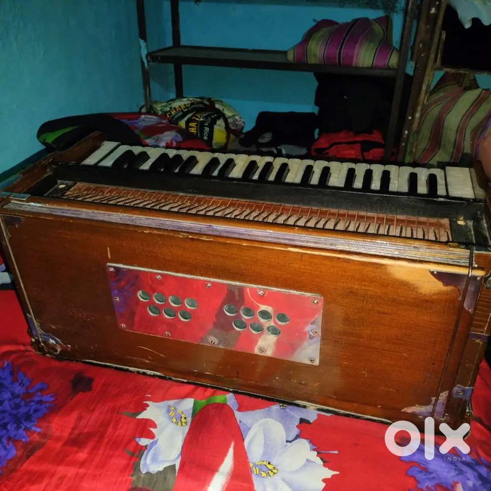 Harmuniam A1 conditions Dabal Reeds Palitana Right Side  Coplur