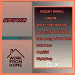 Work From Home Online Job Data Entry D15