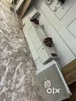House shifting Items for sale at throwaway prices