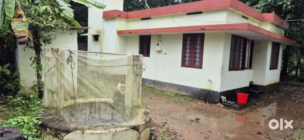 10 cent plot with a house