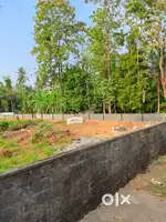 25 Cents for sale near angamaly (Muringoor)