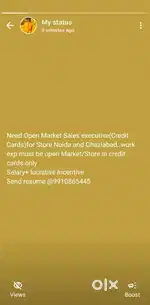 Sales executive credit card sales-Store