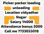 Picker packer