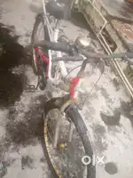 Hippo. arrow mountain bike cycle