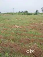 Agricultural land