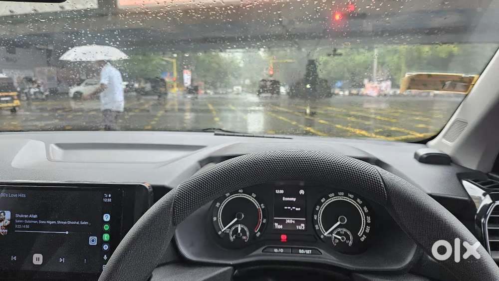 Professional Car Driver for premium cars available