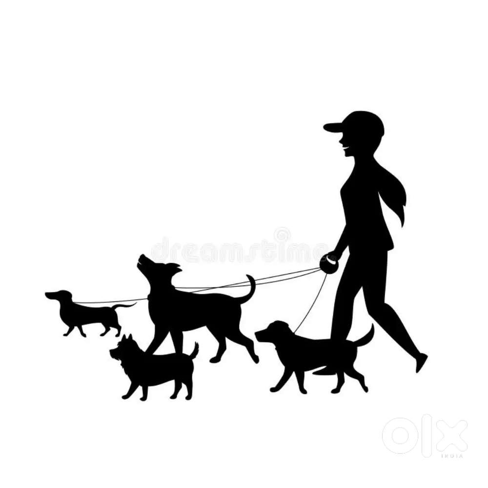 Dog Walker • Hadapsar / Magarpatta / Amanora • Daily Walks