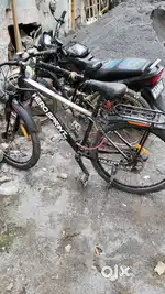 7 speed gear cycle