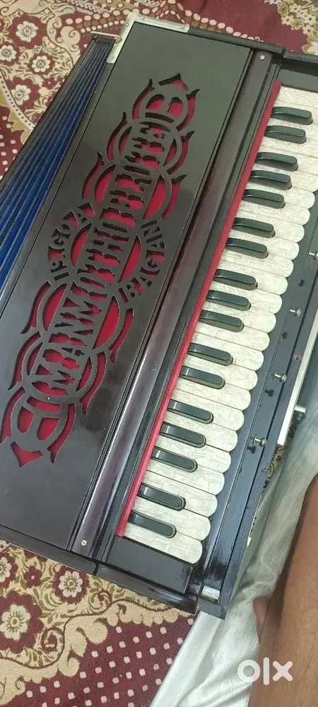New Harmonium bechani hai 2 mahine purani