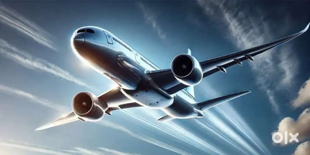Now hiring for indigo airlines apply fast