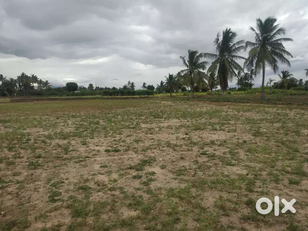 Sathy Road Near Plots For Sale