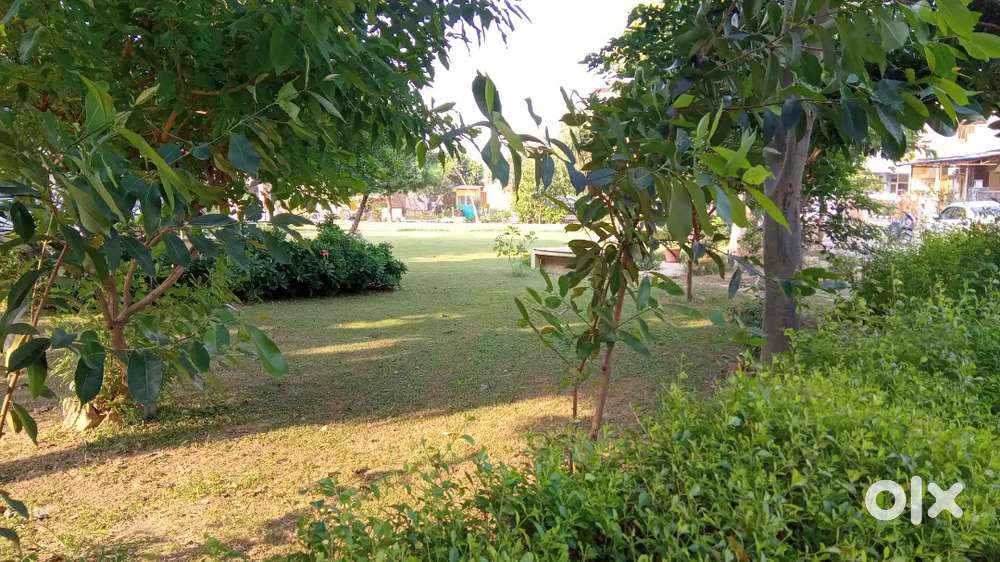 213 sqr yard plot sale (mda approved)