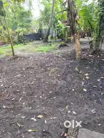 8 cent square plot for sale