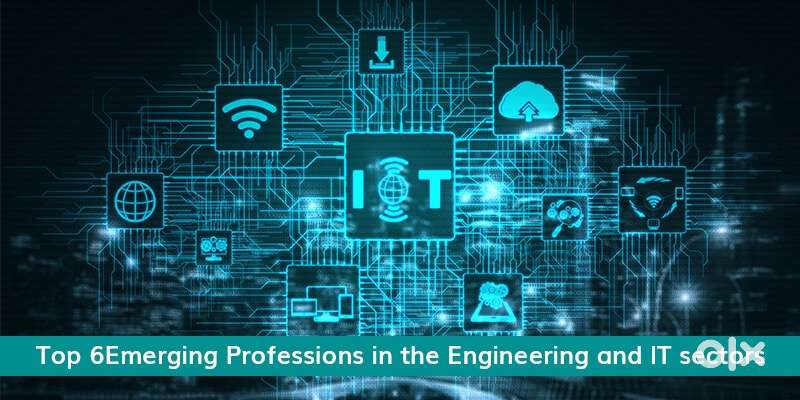 Web site developer and designer wanted