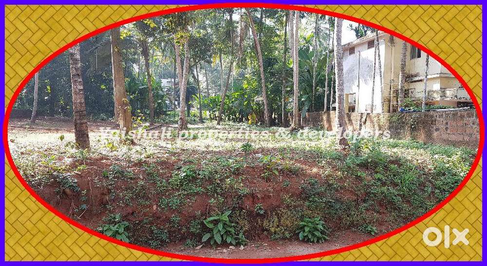 9 cents House plot for sale in Cheruvannur - 500 mtrs from bus route