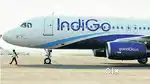 Hiring In Airport Jobs Driver And Ground Staff