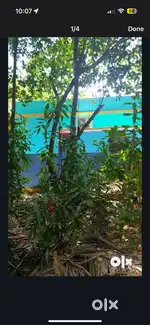 3.3 cents Land for sale in Punnainagar