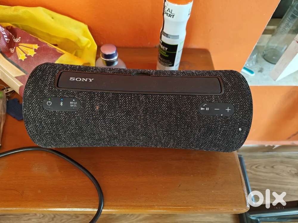 Sony srs xg300
