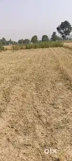 Plot in village for sale