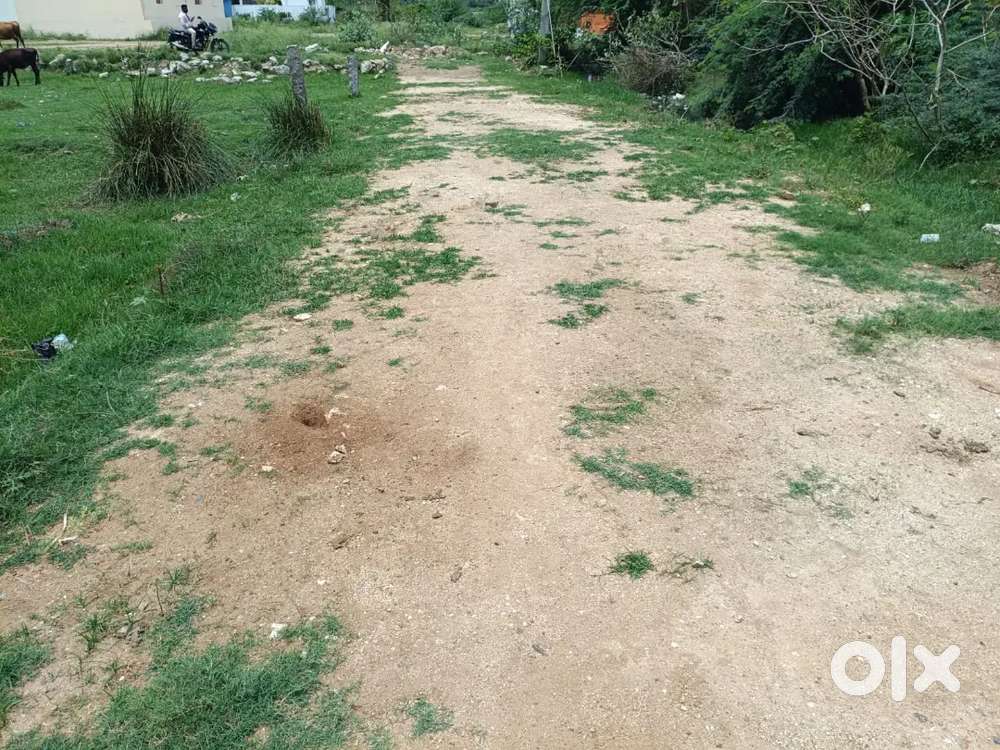 Plot for sale near VIT 11th Gate Sri Nagar 100 Feet Road