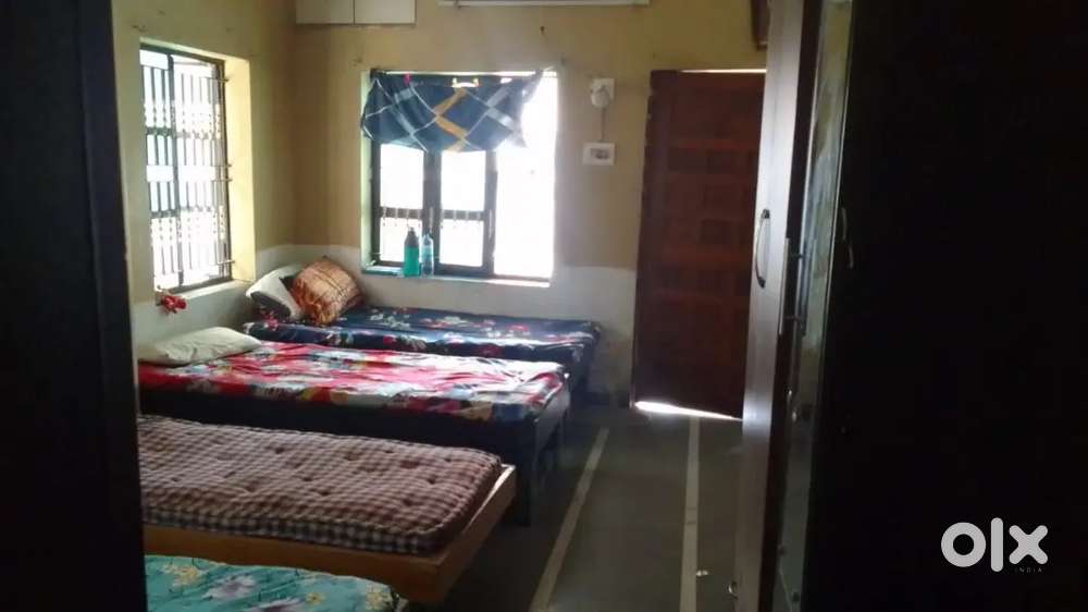 Luxurious pg for girls