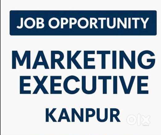 Sales Executive