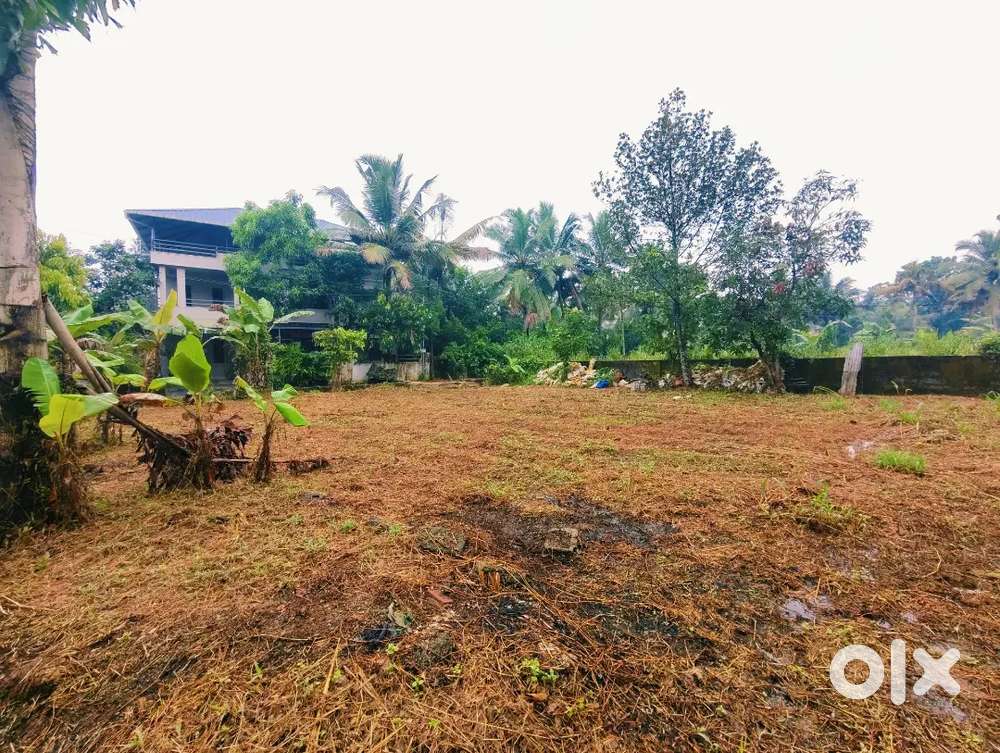 6 cnt plot Kakkanad Kangarappady 9 pr cnt Negotiable