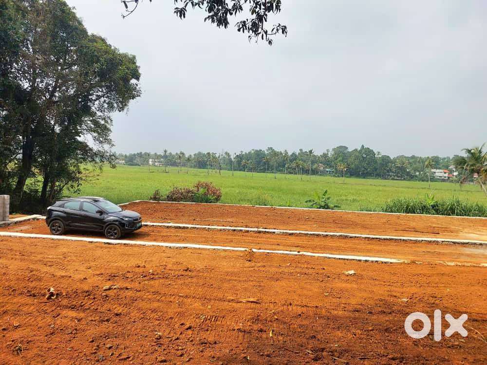 Paddy side land near bus route, Pukkattupady